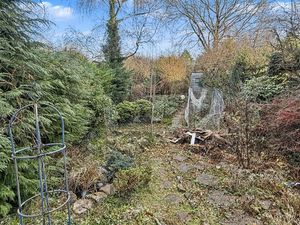 Photo 5- click for photo gallery